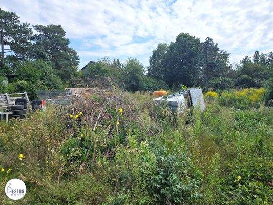 Grundstück - NESTOR Immobilien