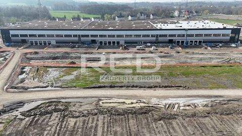 Dortmund Halle, Dortmund Hallenfläche