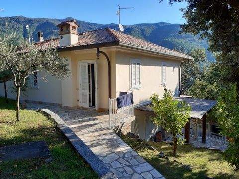 Stretttoia Häuser, Stretttoia Haus kaufen