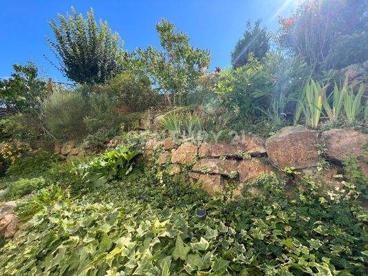 Seitlicher Vorgarten