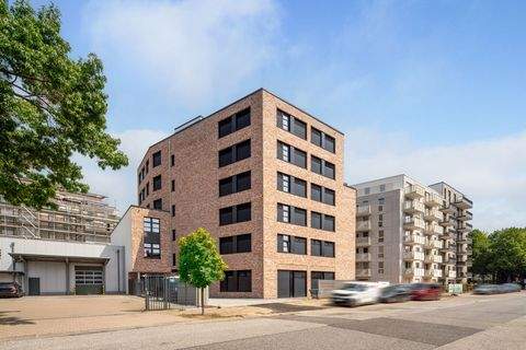 Hamburg Halle, Hamburg Hallenfläche