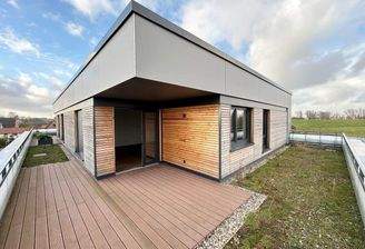 Dachterrasse mit Elbblick