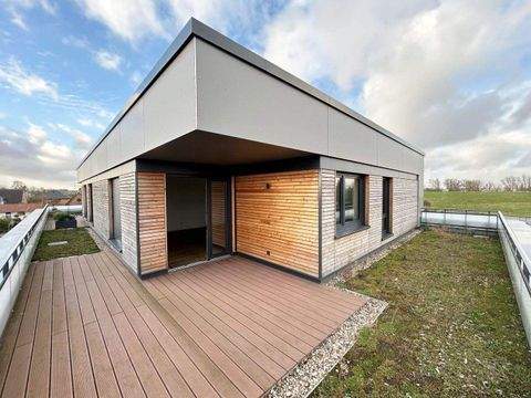 Hollern-Twielenfleth Wohnungen, Hollern-Twielenfleth Wohnung mieten