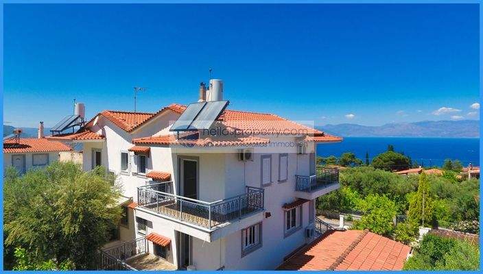 a7b9956d11bf47639f56dbba2f53e869-original