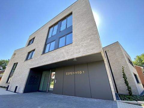 Lingen (Ems) / Altenlingen Wohnungen, Lingen (Ems) / Altenlingen Wohnung mieten