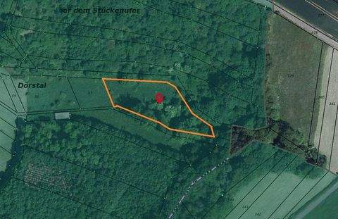 Jützenbach Bauernhöfe, Landwirtschaft, Jützenbach Forstwirtschaft