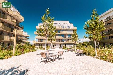 Wien Wohnungen, Wien Wohnung kaufen