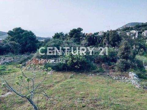 Seget Bauernhöfe, Landwirtschaft, Seget Forstwirtschaft