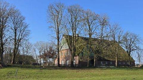 Wewelsfleth Bauernhöfe, Landwirtschaft, Wewelsfleth Forstwirtschaft