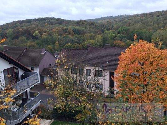 Der herrliche Weitblick vom Balkon
