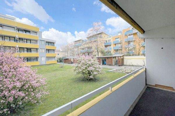Ausblick vom Balkon in den garten grünen Innenhof