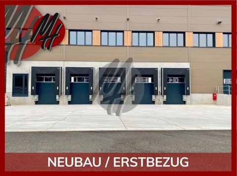Schlangen Halle, Schlangen Hallenfläche