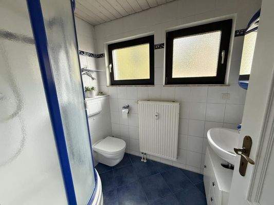 Gäste-WC mit Dusche