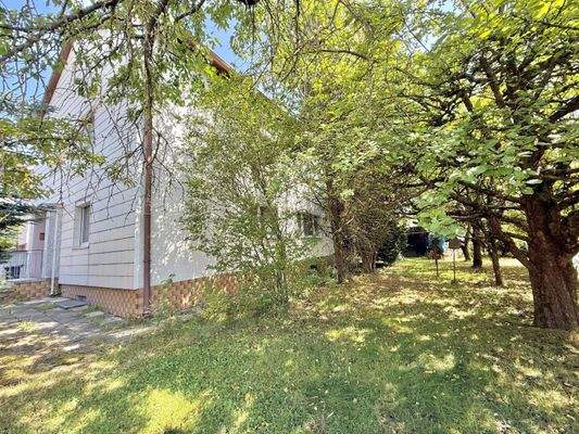 Gartenfläche mit altem Baumbestand