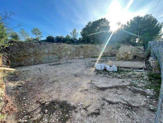 WhatsApp Image 2024-11-20 at 15.49.09