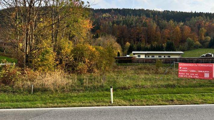 Blick nach Süden