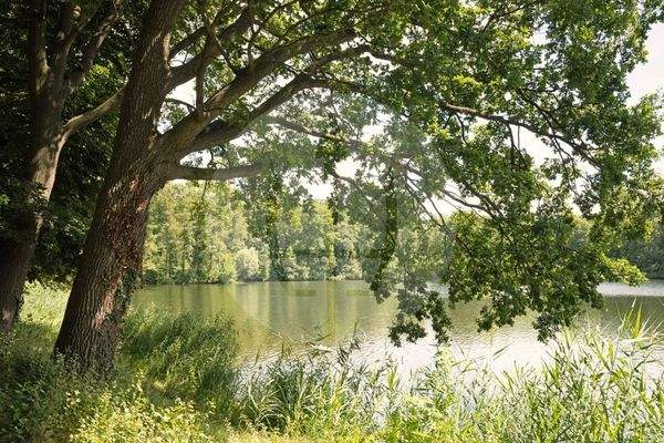 Volkspark Jungfernheide II Bildquelle Bernd Eufinger