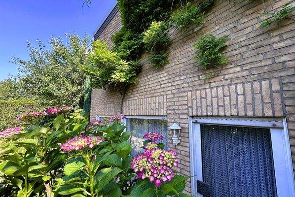 Ein wenig verwunschen...