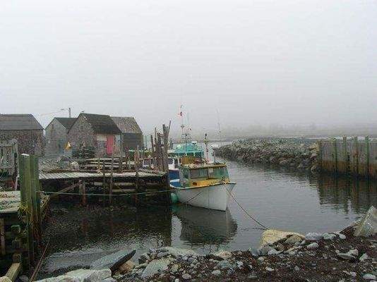 Fischerhafen Umgebung