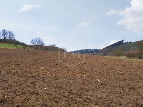 Siegen Bauernhöfe, Landwirtschaft, Siegen Forstwirtschaft