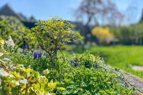 Duisburg Grundstücke, Duisburg Grundstück kaufen
