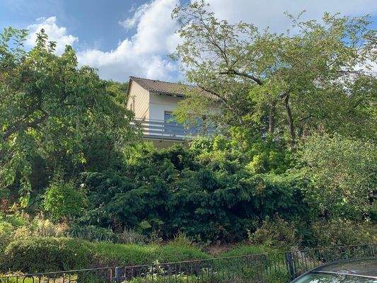 Blick von der Straße