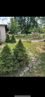 WhatsApp Image 2025-08-02 at 21.25.10