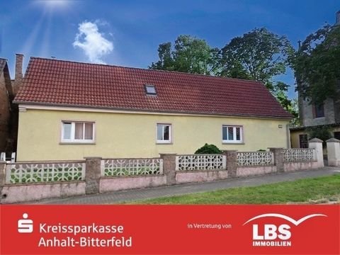 Osternienburger Land Häuser, Osternienburger Land Haus kaufen
