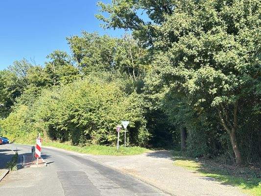 Umgebung und Nähe zum Landschaftsschutzgebiet Laerholz