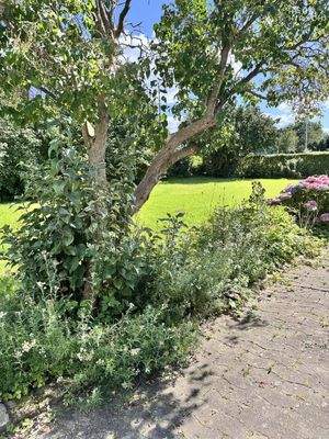 20250810_123206649_iOS