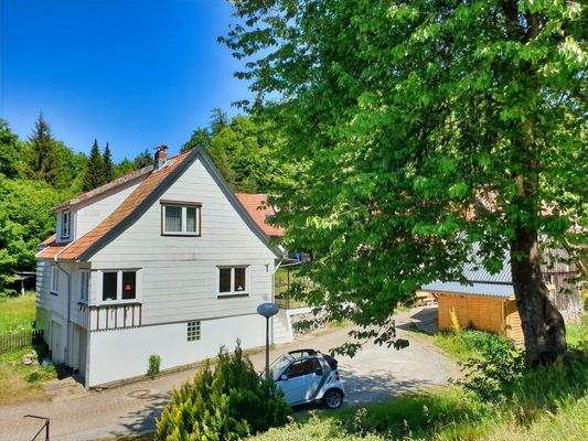 Ostgiebel, Südfassade