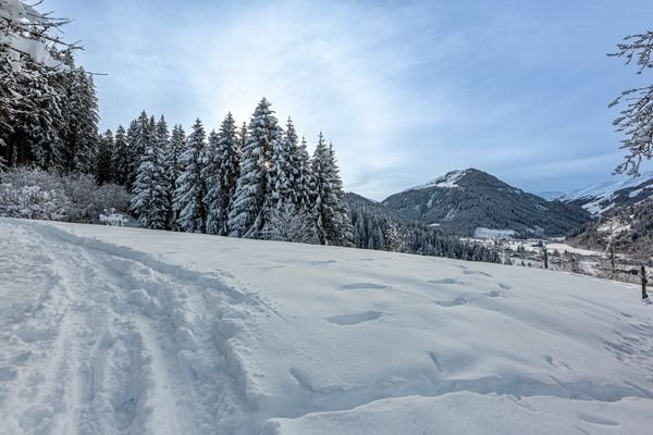 G_G_4159-HDR