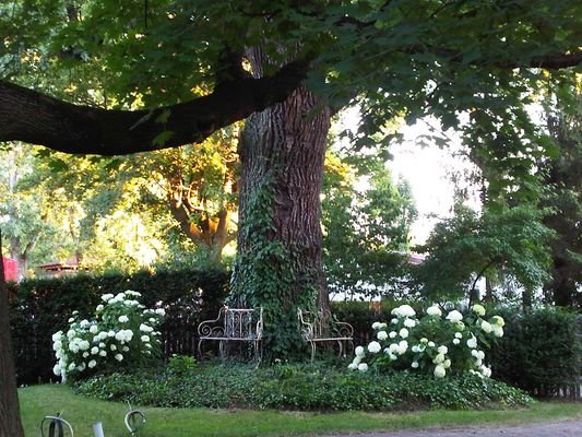 Blick zur Deutschen Eiche / view of the german oak