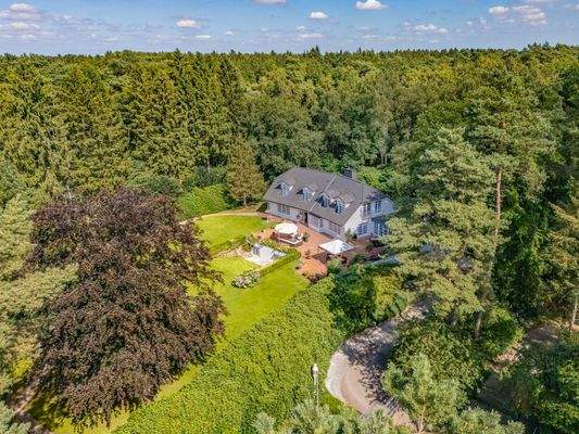 Sonniger Garten umgeben von altem Baumbestand