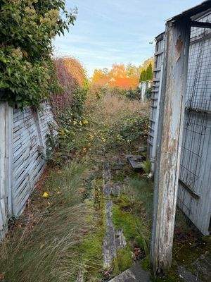 Blick in den Garten.jpeg