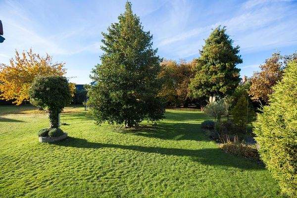 04 - ISA261 - Garten