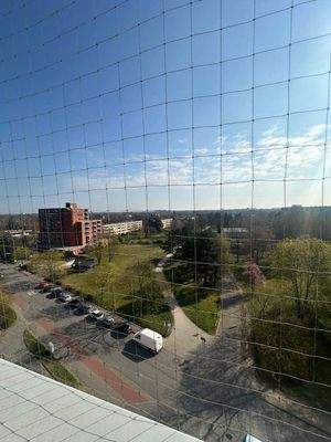 Blick vom Balkon im Sommer