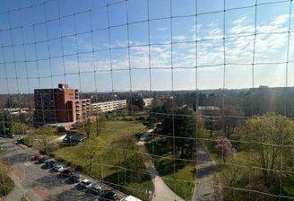 Blick vom Balkon im Sommer