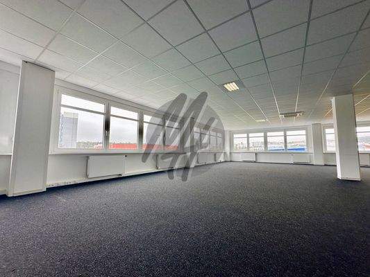 INFOS UNTER: 06171-586000