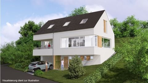 Igel Häuser, Igel Haus kaufen