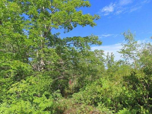 Cape Breton - Neu-Erschließung mit 7 Lots - 23 Hek