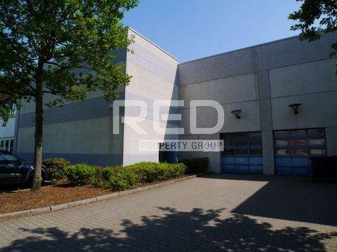 Dormagen Halle, Dormagen Hallenfläche