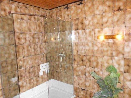 Badezimmer mit Dusche.JPG