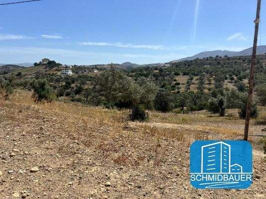 Kreta, Pitsidia: Grundstück am Ortsrand zu verkaufen