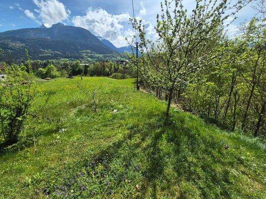 Blick vom Grundstück