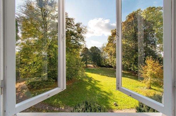 Blick in den Garten.jpg