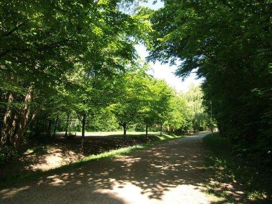 in direkter Umgebung