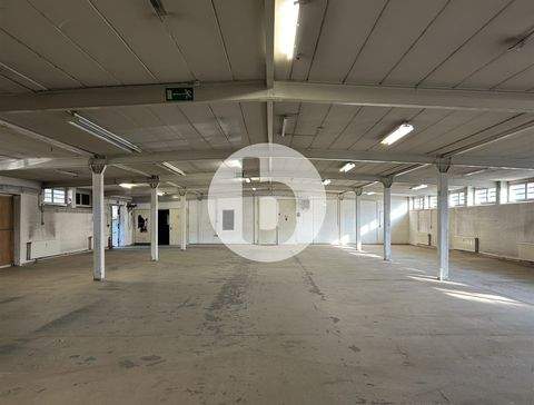 Hamburg Halle, Hamburg Hallenfläche