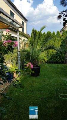 Garten auf der Südseite