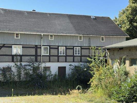 2025-08-18_11-02-57_IMG_3492